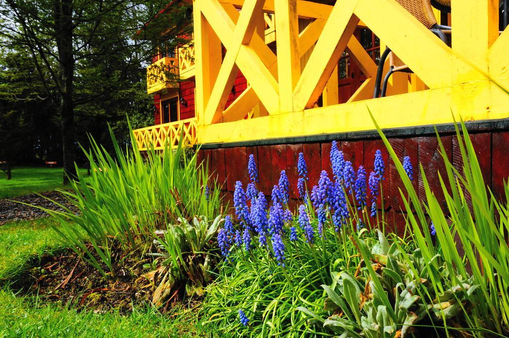 Hotel Y Cabanas Patagonia Green Puerto Aisén Kültér fotó